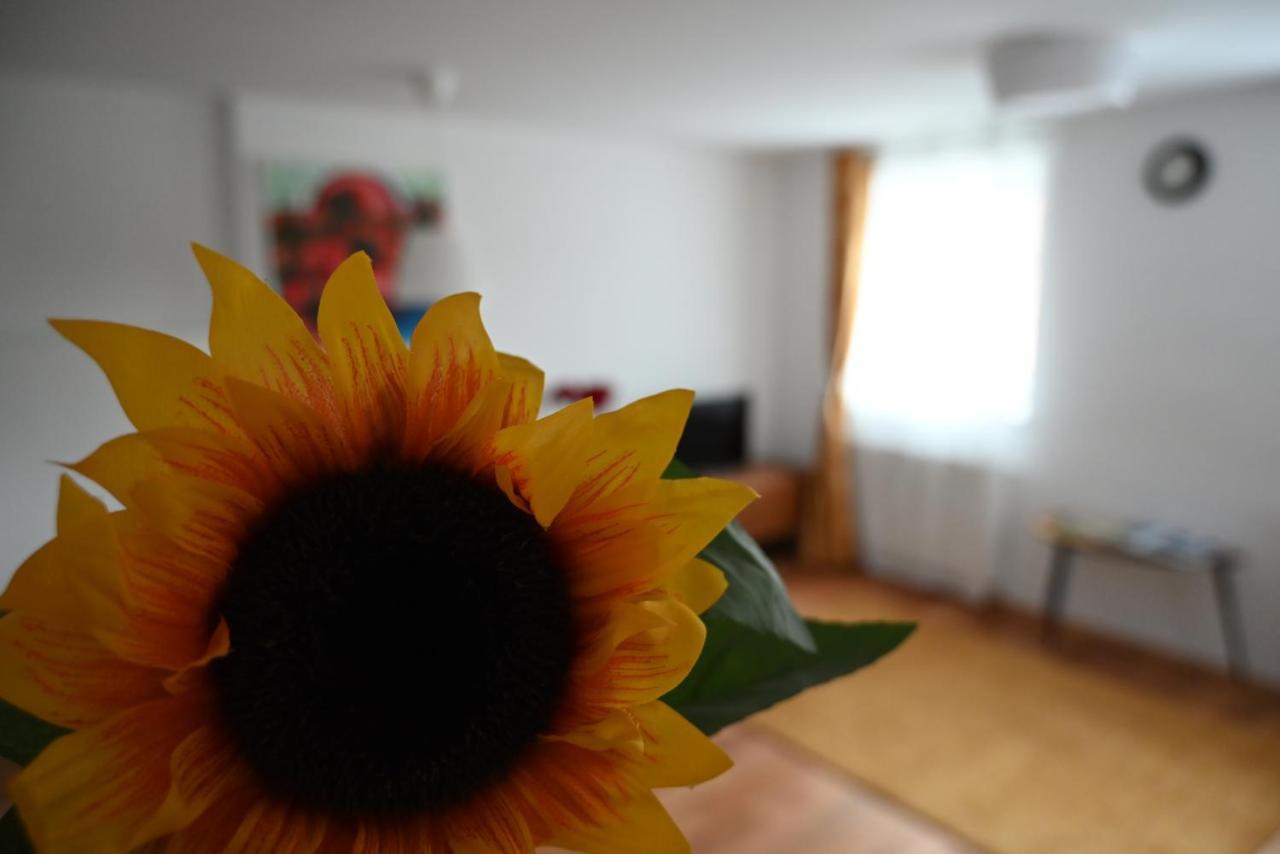 Krakovska Apartments Ljubljana Buitenkant foto